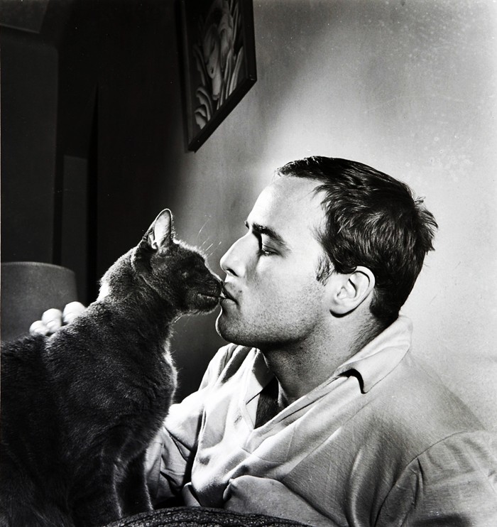 Marlon Brando And The Black Cat
